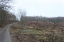 Forêt de la Londe-Rouvray